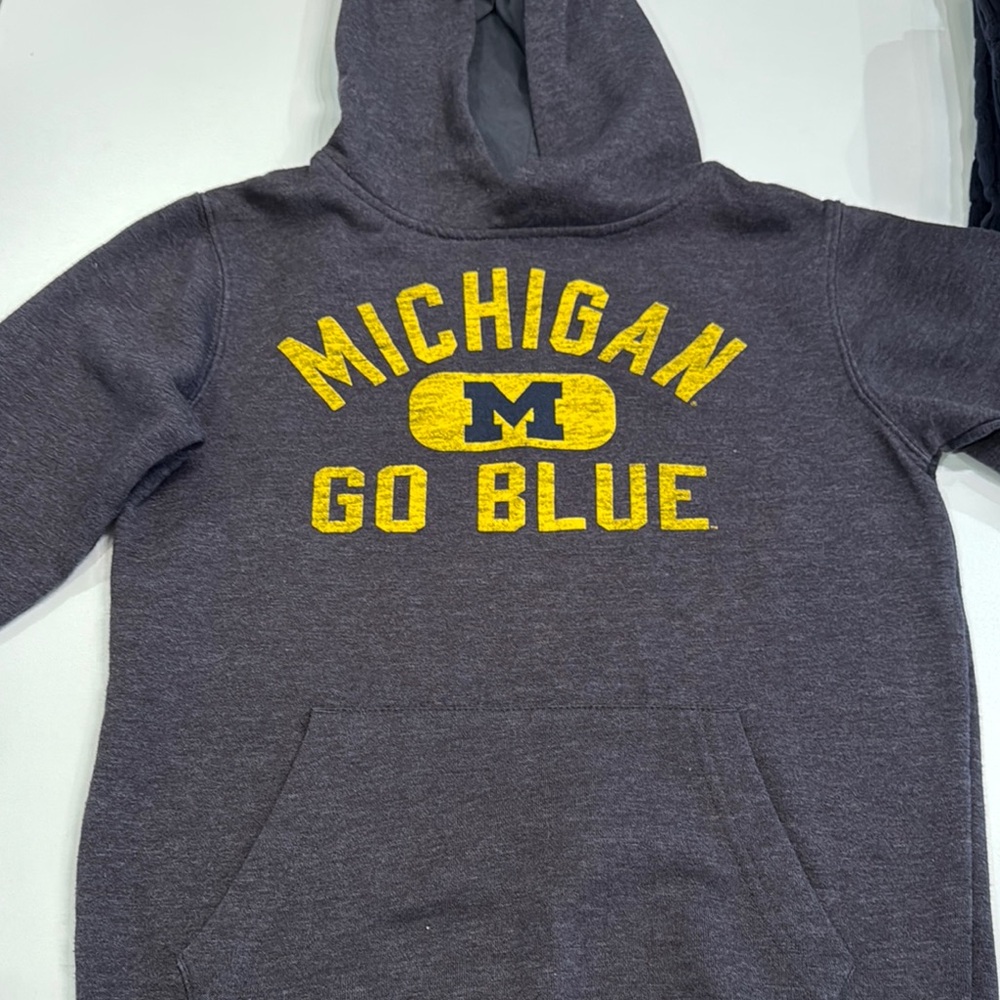 Gray Michigan Go Blue Hoodie kids size 8-10 excellent condition